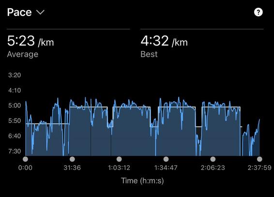 Graph of pace vs time, showing 4 blocks of about 15 minutes at 5 min/km.