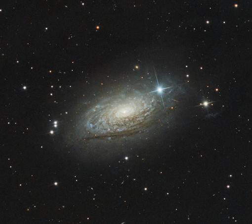 A dark image with a bright galaxy sitting in the middle; the galaxy is full of interesting dust lanes and blue stars, with some pronounced dark dust lanes along the bottom rim of the galaxy. Some bright stars further illuminate nearby dust in blue and white hues.