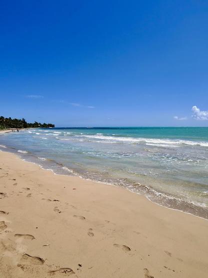 A sandy beach with gentle waves lapping at the shore under a clear blue sky. Palm trees line the beach on the left side, and footprints are visible in the sand.
