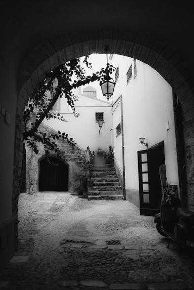 The image depicts a narrow, cobblestone alleyway framed by an arched stone entrance. The alley is flanked by white-washed buildings with traditional architectural features, including a lantern hanging from the archway and a wall-mounted lantern. A set of stone steps leads up to a door on the right side, with a scooter parked nearby. The left side features a dark wooden door and a small arched opening. The ground is uneven, with visible cobblestones and a drain. A tree with leaves extends into the frame from the left, adding a touch of greenery. The scene is captured in black and white, emphasizing textures and contrasts.

Provided by @altbot, generated privately and locally using Ovis2-8B
