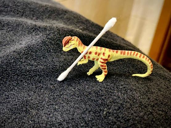 A green Dilophosaurus with brown spots holds a cotton swab nearly their size while standing upon a black towel on a bathroom sink. They intend to use it on their ears.