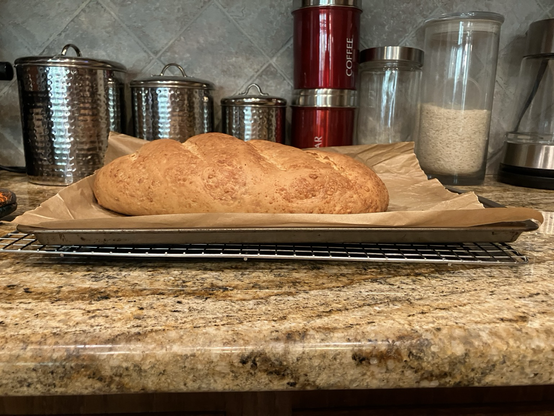 Bread from the side. 3-4” tall, 10” long.  Golden brown, speckled from the crumbles of cheese peeking through.  On a pan on a wire rack on a granite counter. Silver, red, and clear glass canisters behind it.