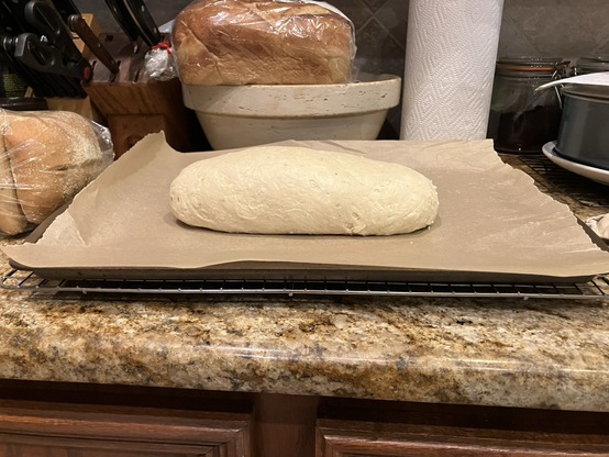 Raw loaf about 3” tall and 8ish “ long. Sitting on a pan with parchment, in front of an antique bread bowl, paper towels and a knife rack behind it. (Pre proving just after shaping)