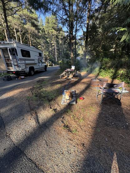 A campsite scene featuring a camper van parked on a gravel road surrounded by trees. A dog rests on a mat beside a small fire pit and nearby picnic table. Smoke rises from the fire pit, suggesting recent cooking or warmth.