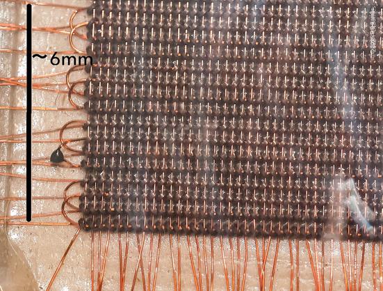 Macro closeup of the corner of a core memory card from a 1970s computer, before semiconductor memory became available. The shot shows hundreds of tiny ferrite cores, doughnut-shaped, in a dense matrix, each core threaded onto three very fine wires that extend out past the edge of the picture. There are slightly more than 64 by 8 cores in shot, or not enough bits to store this sentence.