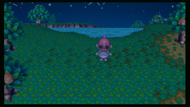 Animal Crossing City Folk screenshot. It is night. The player is standing near the river, on the grass. From left to right, a very obvious worn line is visible, though it is still mostly grass.