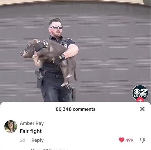 *Picture of a cop holding a pig*
*Comment below*: Fair fight