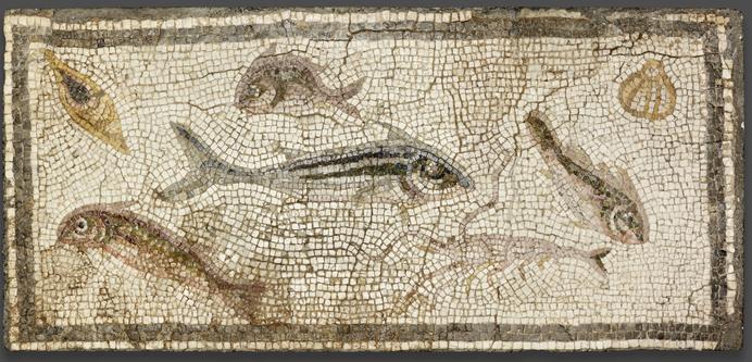 Description from the Art Institute Chicago: “This mosaic, which was discovered in a house in Daphne (modern Harbiye), a prosperous garden town near Antioch, depicts several species of fish and shellfish. The representation of these sea creatures was likely intended to convey a message about the owner’s wealth as well as the variety of food available in the home. Reference number: 1937.48”