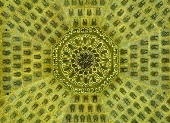 A high-angle, close-up shot reveals an intricately decorated ceiling, likely part of a temple or religious building. The central focus is a large, circular medallion with a stylised floral or lotus pattern in shades of gold and pale yellow. This central design features multiple layers of petals radiating outwards from a central dotted core, enclosed by a decorative border with swirling motifs.
Surrounding the central medallion is a repeating pattern of small, arched niches, each containing a subtle, darker shape that could represent a figure or religious symbol. These niches are arranged in a radial fashion, emanating from the central design and creating a sense of symmetry and repetition across the ceiling.
The overall colour palette is muted, with variations of yellow and gold dominating, giving the surface a slightly aged or textured appearance. The lighting appears even, highlighting the detailed carvings and patterns without harsh shadows.