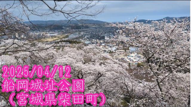 2025/04/12　船岡城址公園（宮城県柴田町）