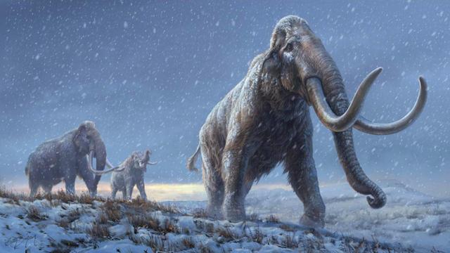 Ricostruzione della vita del mammut delle steppe (Mammuthus trogontherii).