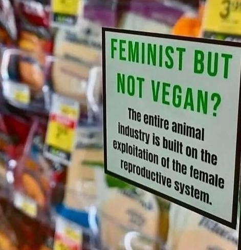 A protest sign in a supermarket carrying the text "Feminist but not vegan? The entire animal industry is built on the exploitation of the female reproductive system"
