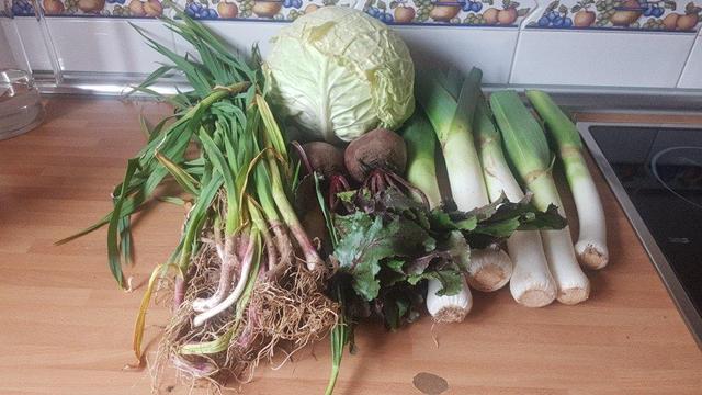 Contenido de la cesta de la semana sobre una encimera de cocina. A la izquierda hay un montón de ajetes. A la darecha puerros. Y en el centro, delante unas remolachas, y detrás un repollo.