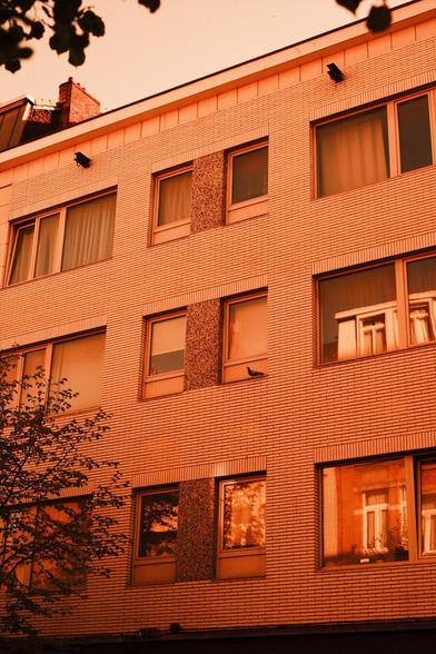 Red scale photo: a bricked building facade with a pigeon