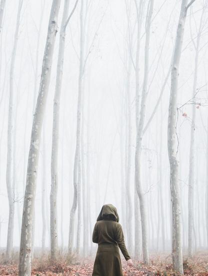 A woman in a green hooded coat stands alone in a foggy, leaf-strewn forest of pale trees, evoking themes of mystery, isolation, and spiritual awakening—an atmospheric visual for The Ordinary Bruja blog post about identity, brujería, and reclaiming space.