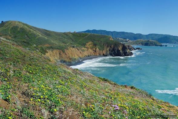 The image shows a scenic coastal landscape with rolling green hills, cliffs, and a beach with waves crashing onto the shore. The foreground is covered with various wildflowers, predominantly yellow, adding vibrant colors to the scene. The ocean is a clear blue, and the sky is cloudless, indicating a bright, sunny day.