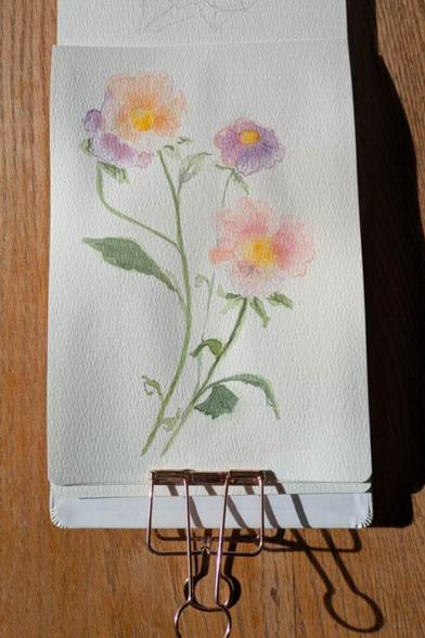This is a watercolor painting of stems of delicate viola hybrid pansies.  They have yellow centers and ruffled petals in peachy pink, warm yellow, and warm purple. The leaves along the stems and at the base of the pansies are yellow green with darker bits for shadow.