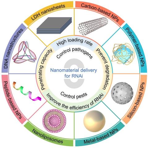 Diagram summarizing the application of nanomaterial-mediated delivery of RNAs for RNA interference against plant pathogens and pests, illustrating how different nanomaterials break through the cell barriers of plants, pathogens, and pests according to their size, morphology, and charge characteristics.