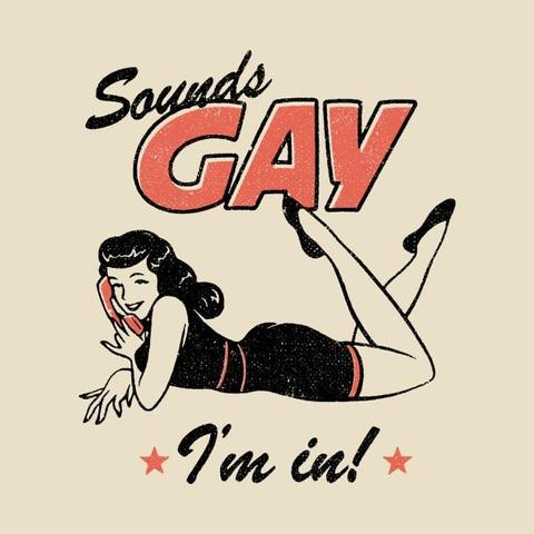 A woman in an old pin-up style drawing, lying on her stomach, on the phone, with the text "Sounds gay, I'm in!".