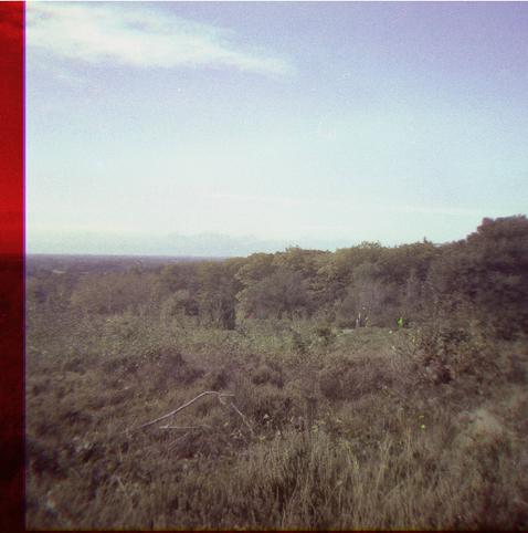 View from a low hilltop over a field of heather and the edge of a wooded area under a mostly clear sky. You can hardly tell this was made from the overlapping images (red, yellow and blue). What gives it away is a red border on one side, and if you zoom in you can make it the same hiker twice, in red and in yellow.