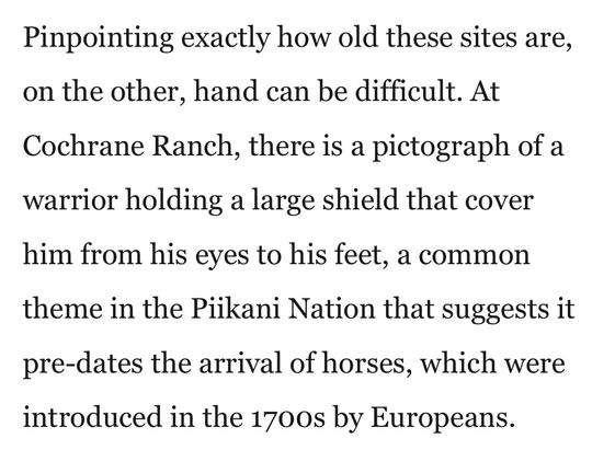 Pinpointing exactly how old these sites are,
on the other, hand can be difficult. At
Cochrane Ranch, there is a pictograph of a
warrior holding a large shield that cover
him from his eyes to his feet, a common
theme in the Piikani Nation that suggests it
pre-dates the arrival of horses, which were
introduced in the 1700s by Europeans.