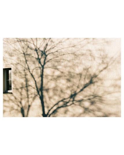 a beige wall with the shadow of a a tree on it, all a little blury except the small window at the very edge of the left hand side
