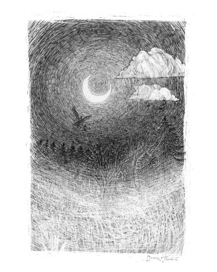 A detailed ink drawing of a night forest