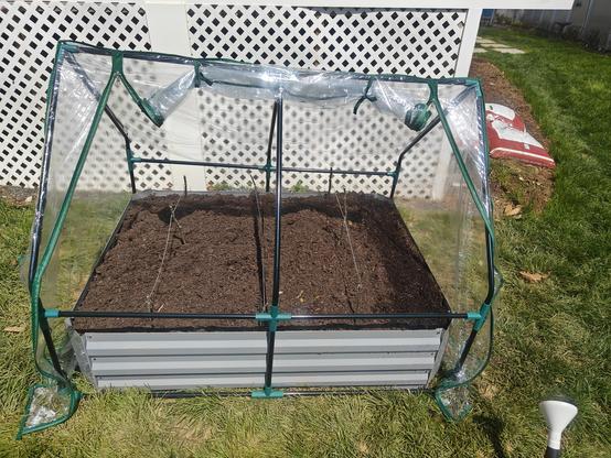 A 12x12 raised garden bed with a vinyl greenhouse style cover, unzipped for planting.