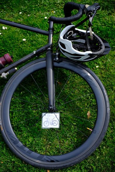 Koga-Miyata mit Spokecard