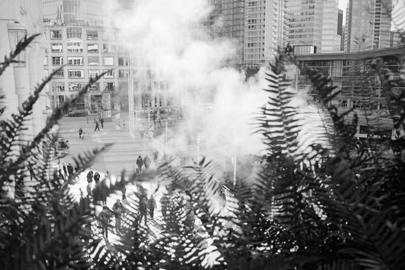 The city skyline through ferns with steam.