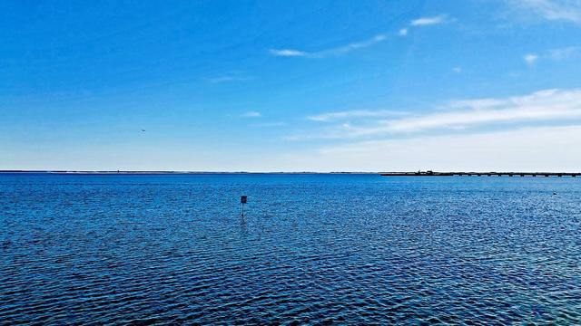 Picture of the Provincetown Bay