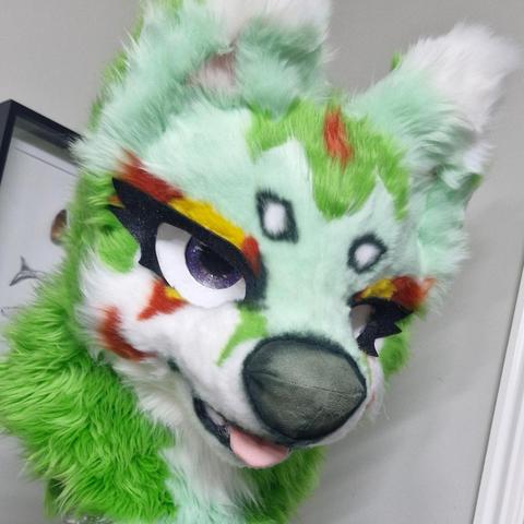 Naturefox with yellow and red markings