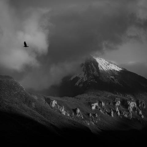 Photo noir et blanc d'une montagne en forme de cirque, l'intérieur du cirque est empli d'un nuage, le sommet est enneigé, d'une bande de soleil illumine la montagne à mi-hauteur mettant en valeur des falaises au milieu des bois.
Une corneille passe dans le ciel.