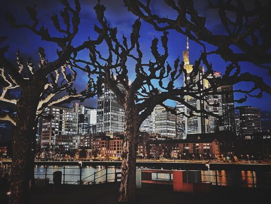 The landscape-orientated image shows a nighttime urban scene. In the foreground, there are three bare trees without leaves. Behind the trees, across a body of water, is a cityscape with numerous illuminated buildings. The buildings vary in height, with some taller skyscrapers visible in the center and right side of the frame. The sky is dark blue with some clouds visible. Lights from the buildings and streetlights reflect on the surface of the water. There is a bench visible on the right side of the foreground.