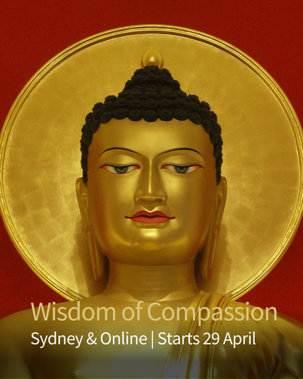 Wisdom of Compassion