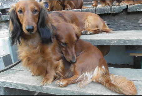 Gaia sitting on stairs,
one up Krios lying, his head around Gaia's back
hugging her intensely
for quite a while I may add