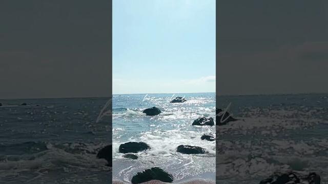 【20代・30代におすすめ】東海汽船に乗って伊豆諸島を旅しよう。神津島に行こう！#旅行会社 #オリオンツアー #伊豆諸島 #神津島 #旅行 #国内旅行 #海 #カップル旅行 #女子旅