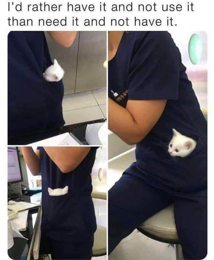 I'd rather have it and not use it than need it not I have it.

📸 Three photos of a veterinarian with a white kitten in their pocket. The little kitty cat is poking its head out and looking around.