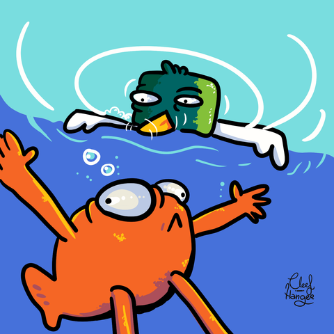 Under the water, steve le poison is swiming and Coll verd (a duck with green neck) has its head inside the water watching him.