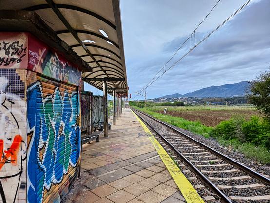 Photo taken on the platform of a semi abandoned station. The installations are covered by colourful graffiti and there are holes in the canopy. A single track railway stretches into the distance through field, with mountains on the horizon.