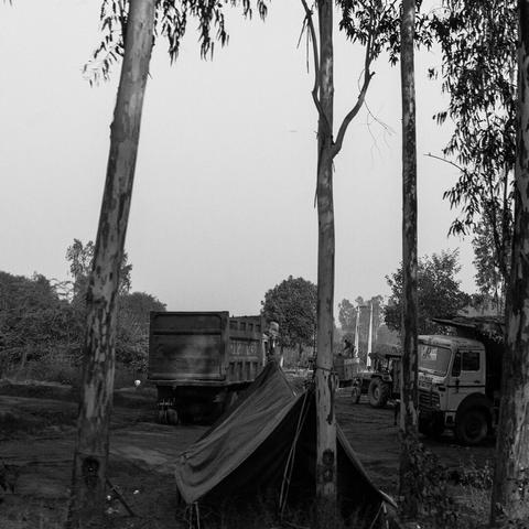 A monochrome photo of trucks tractors and a tent. In the foreground of the image, there are four eucalyptus trees. Towards the left and right of the image, there are two trucks parked on either side, by the side of a road in dirt. In the middle of the two trucks, there is a tractor and a trolley. There is a person visible, standing on top of the trolley. In the foreground, near the eucalyptus trees, there is a tent in the middle.