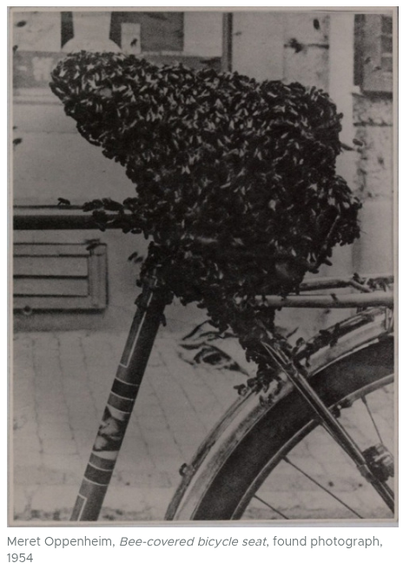 Meret Oppenheim, Bee-covered bicycle seat, found photograph. 1954

A lovely beehive on the go!
I am sure they can ride it down the street, too.