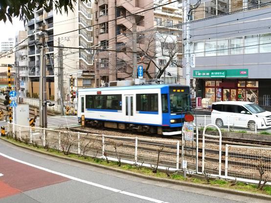 This line is the last remaining tram/streetcar line in Tokyo, although as it does in this picture, it runs mostly away from car traffic on medians or dedicated routes. The rolling stock are all single cars. This one is white with a blue stripe. The weather was not great and such is the lighting. A mini supermarket, buildings, and a car are among the items in the background.