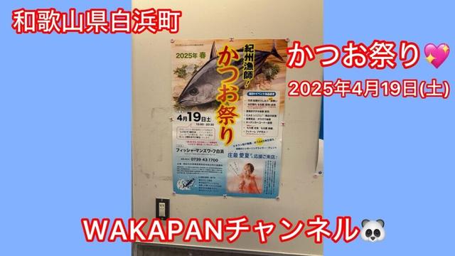 和歌山県白浜町　2025年4月19日(土)かつお祭り💖WAKAPANチャンネル🐼