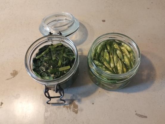 Two glass jars, one with fermenting leaves of wild garlic, the other wirh pickled buds.