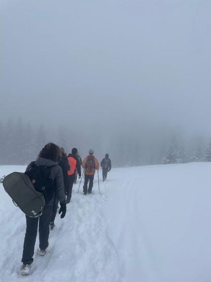 Walking in the Jura on a Snowy Day