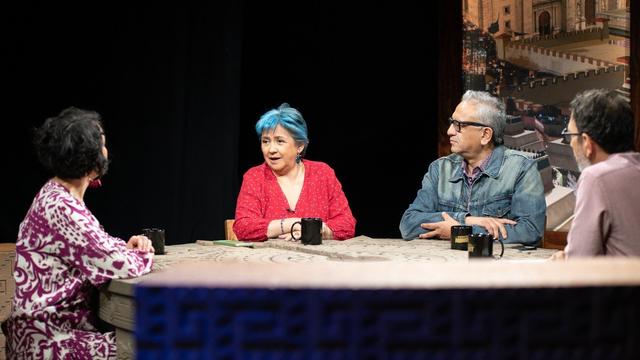 Daniela Pastrana en Operación Mamut de Canal Once. Domingo 13 de abril.