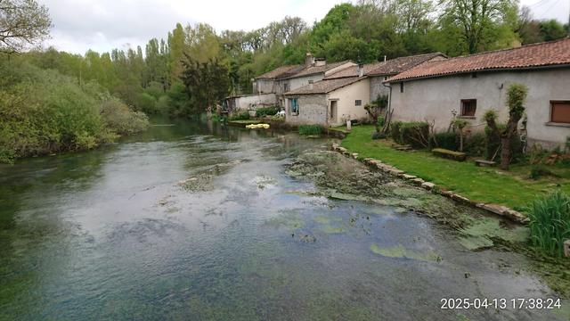 Le Clain près de Romagne ; ses maisons basses à toit de tuiles et l'écrin arboré de la rivière en amont de Poitiers.