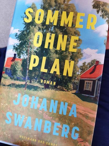 Buchtitel "Sommer ohne Plan" von Johanna Swanberg.
