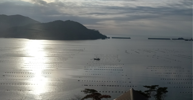 photo of a coastal bay in the morning - a fishing boat can be seen among seaweed farm, with mountains in the distance